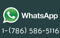 whatsapp at Miami Rent A Car